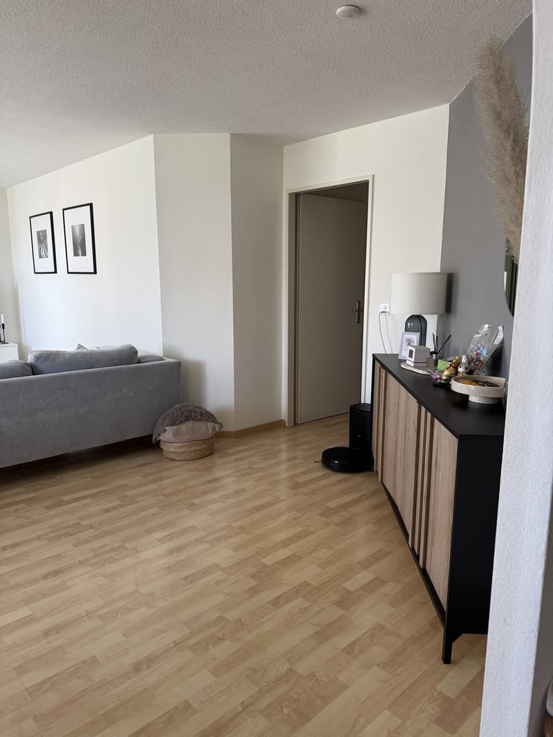 Cercasi inquilino: appartamento di 3,5 locali nel popolare quartiere di Erlen (6)