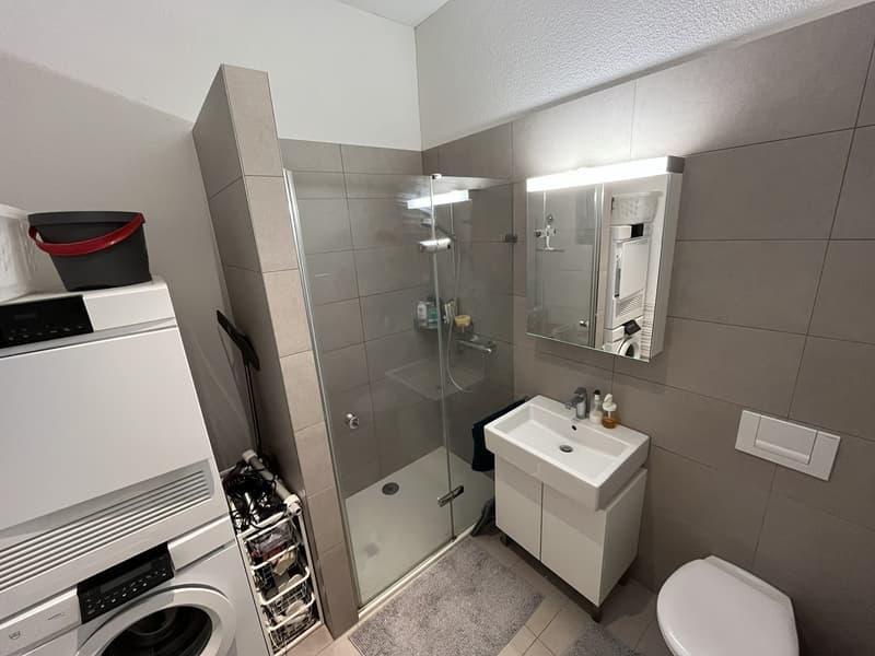 Appartamento moderno arredato a Glattbrugg (3)