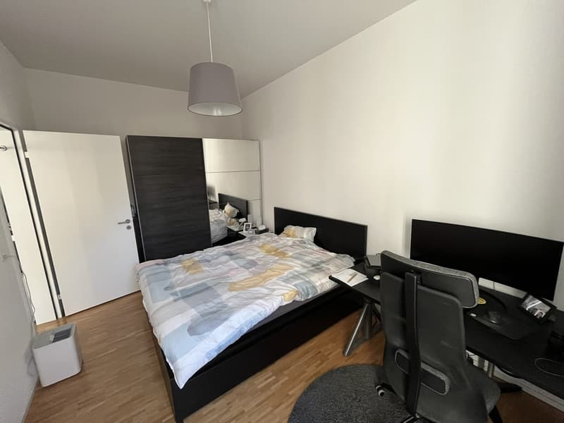 Appartamento moderno arredato a Glattbrugg (2)