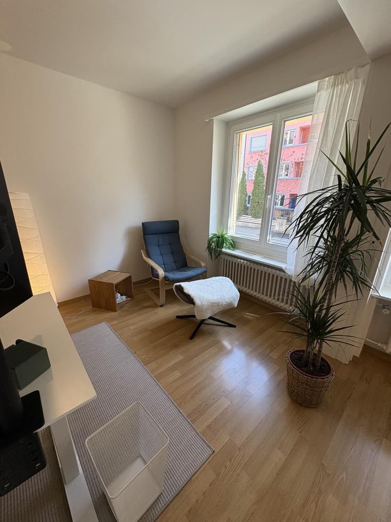 Möblierte 3 Zimmer Wohnung Kreis 4 (1 Jahr befristet) (7)