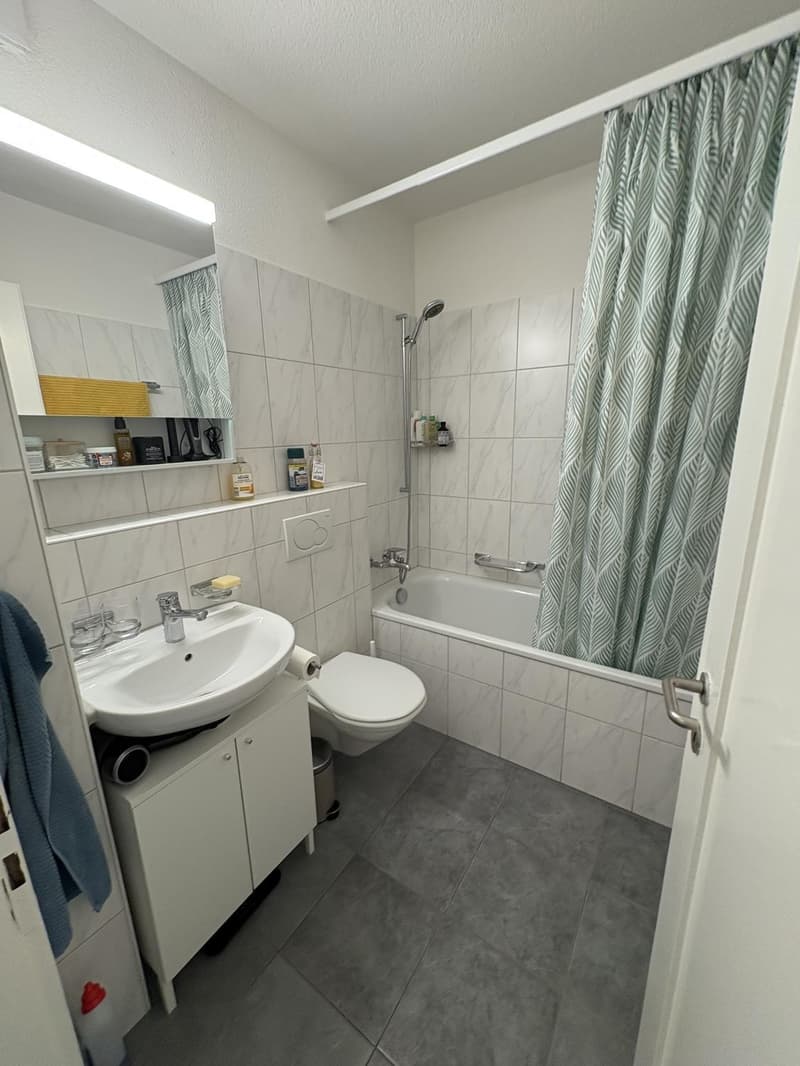Möblierte 3 Zimmer Wohnung Kreis 4 (1 Jahr befristet) (5)
