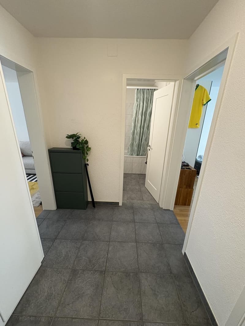 Möblierte 3 Zimmer Wohnung Kreis 4 (1 Jahr befristet) (6)