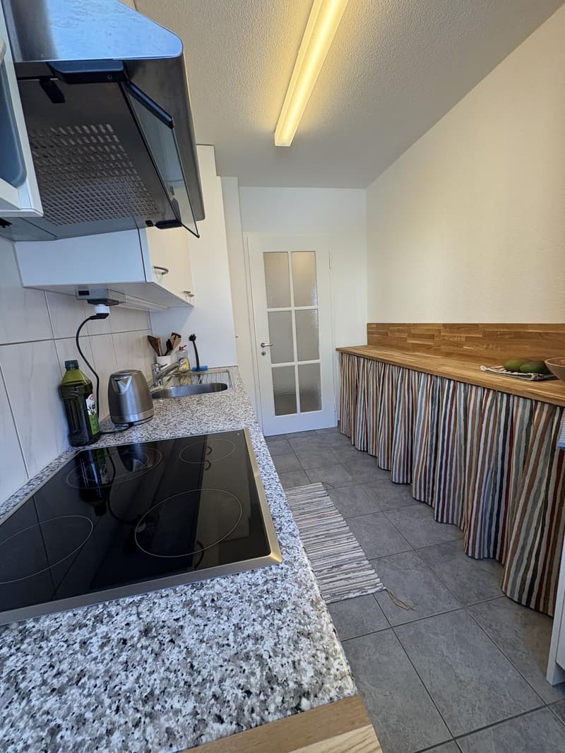 Möblierte 3 Zimmer Wohnung Kreis 4 (1 Jahr befristet) (4)