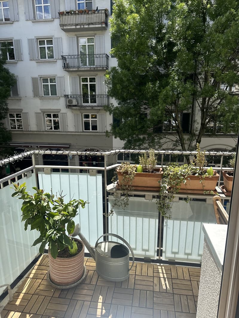 Rent a 1 ½ rooms apartment Seefeld, Zurich (8)