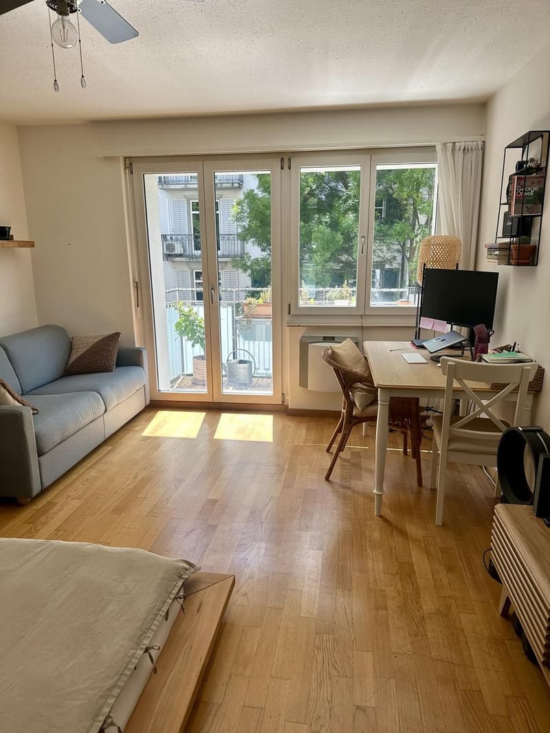 Rent a 1 ½ rooms apartment Seefeld, Zurich (3)