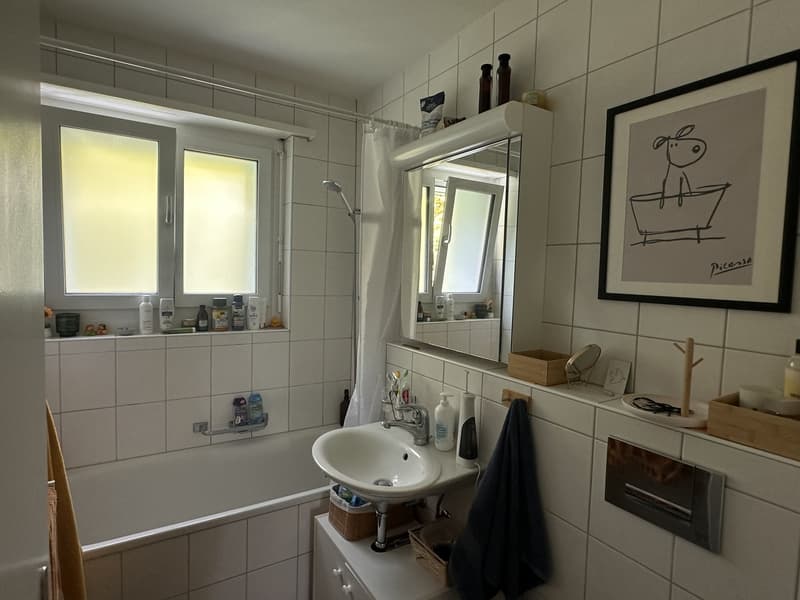 Charmant appartement 2 pièces à Zürich-Wipkingen pour sous-location estivale (01.07-15.09) (3)
