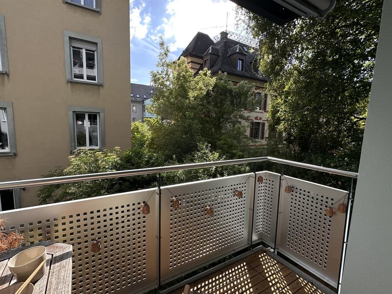 Charmant appartement 2 pièces à Zürich-Wipkingen pour sous-location estivale (01.07-15.09) (10)