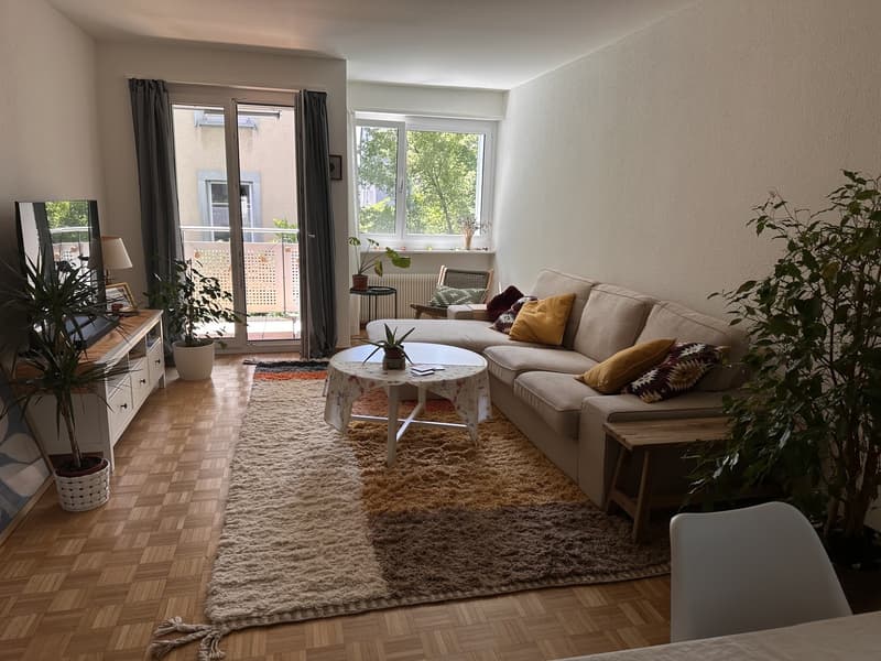 Charmant appartement 2 pièces à Zürich-Wipkingen pour sous-location estivale (01.07-15.09) (6)