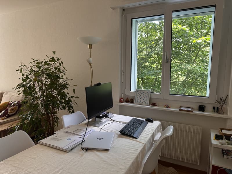 Charmant appartement 2 pièces à Zürich-Wipkingen pour sous-location estivale (01.07-15.09) (8)