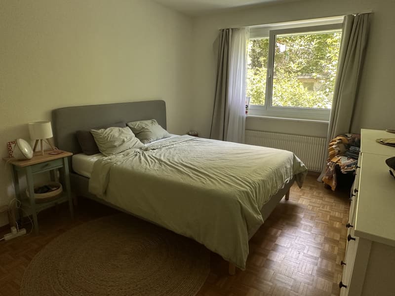 Charmant appartement 2 pièces à Zürich-Wipkingen pour sous-location estivale (01.07-15.09) (4)