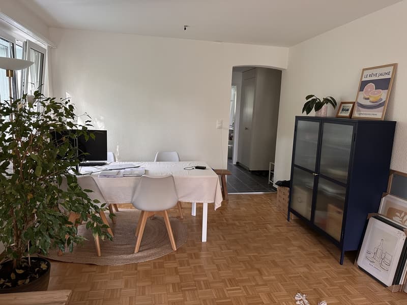 Charmant appartement 2 pièces à Zürich-Wipkingen pour sous-location estivale (01.07-15.09) (9)