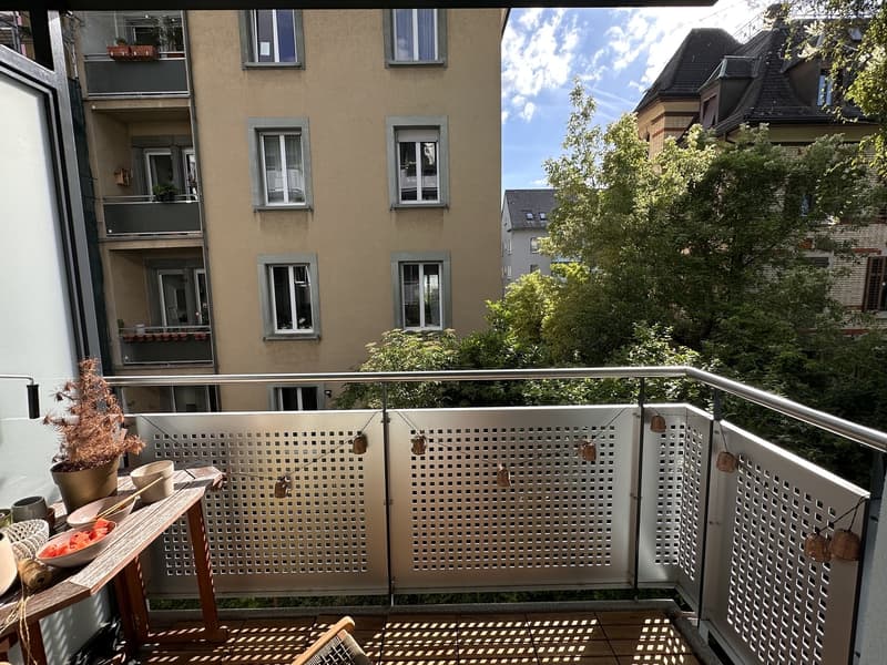 Charmant appartement 2 pièces à Zürich-Wipkingen pour sous-location estivale (01.07-15.09) (11)