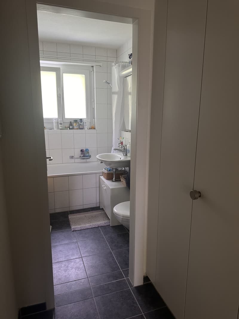 Charmant appartement 2 pièces à Zürich-Wipkingen pour sous-location estivale (01.07-15.09) (5)