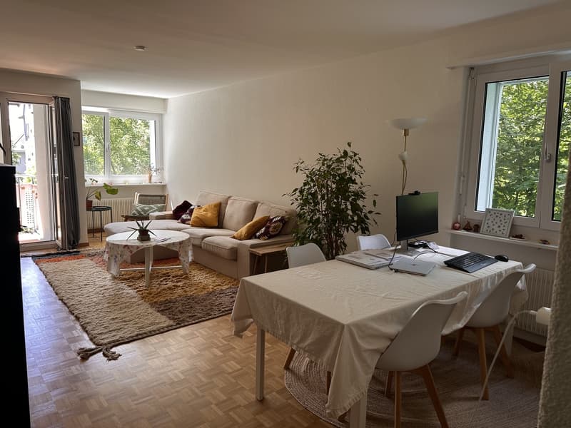 Charmant appartement 2 pièces à Zürich-Wipkingen pour sous-location estivale (01.07-15.09) (7)