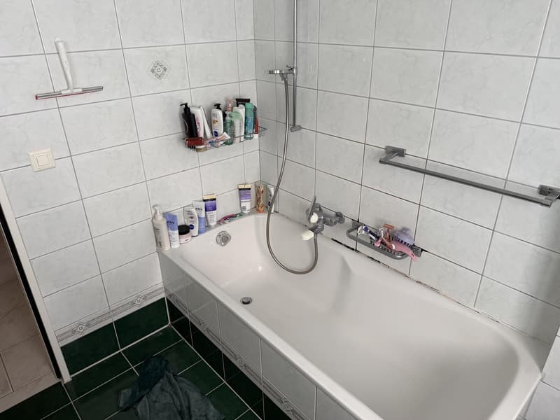 Wunderschöne 3.5 Zimmerwohnung in Fislisbach (4)