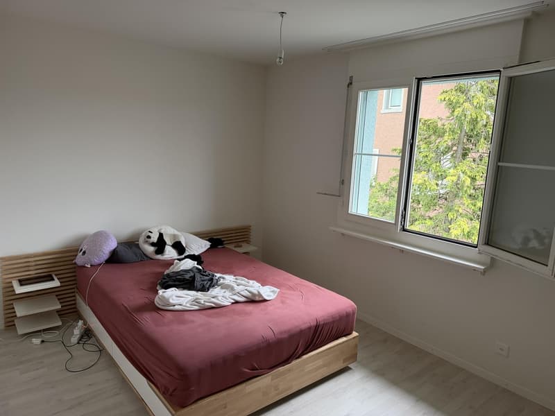 Wunderschöne 3.5 Zimmerwohnung in Fislisbach (6)