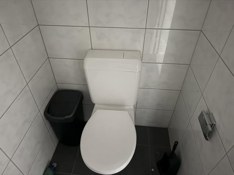 Wunderschöne 3.5 Zimmerwohnung in Fislisbach (13)