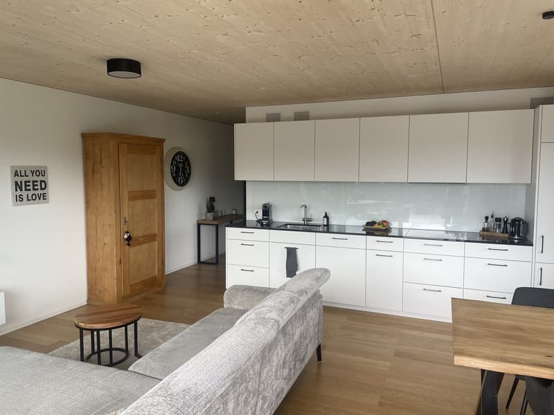 2.5 Zi-Wohnung - Wohnen am Dorfrand von Pfäffikon ZH mit 40m2 Terrasse (8)