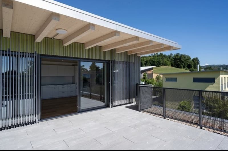 2.5 Zi-Wohnung - Wohnen am Dorfrand von Pfäffikon ZH mit 40m2 Terrasse (3)