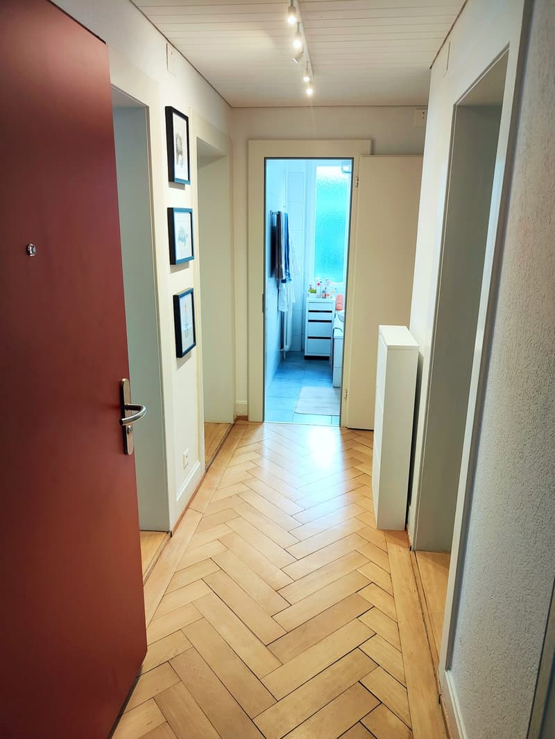 Chambre en colocation à Wipkingen (6)