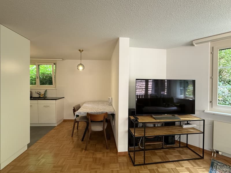 Appartamento arredato di 3,5 locali (73 m²) in posizione centrale a Horgen (termine limitato) (4)