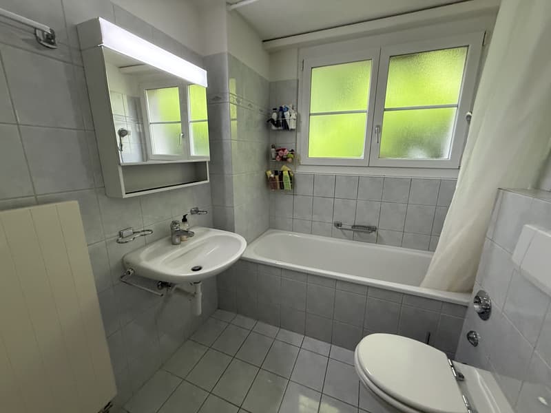 Appartamento arredato di 3,5 locali (73 m²) in posizione centrale a Horgen (termine limitato) (12)