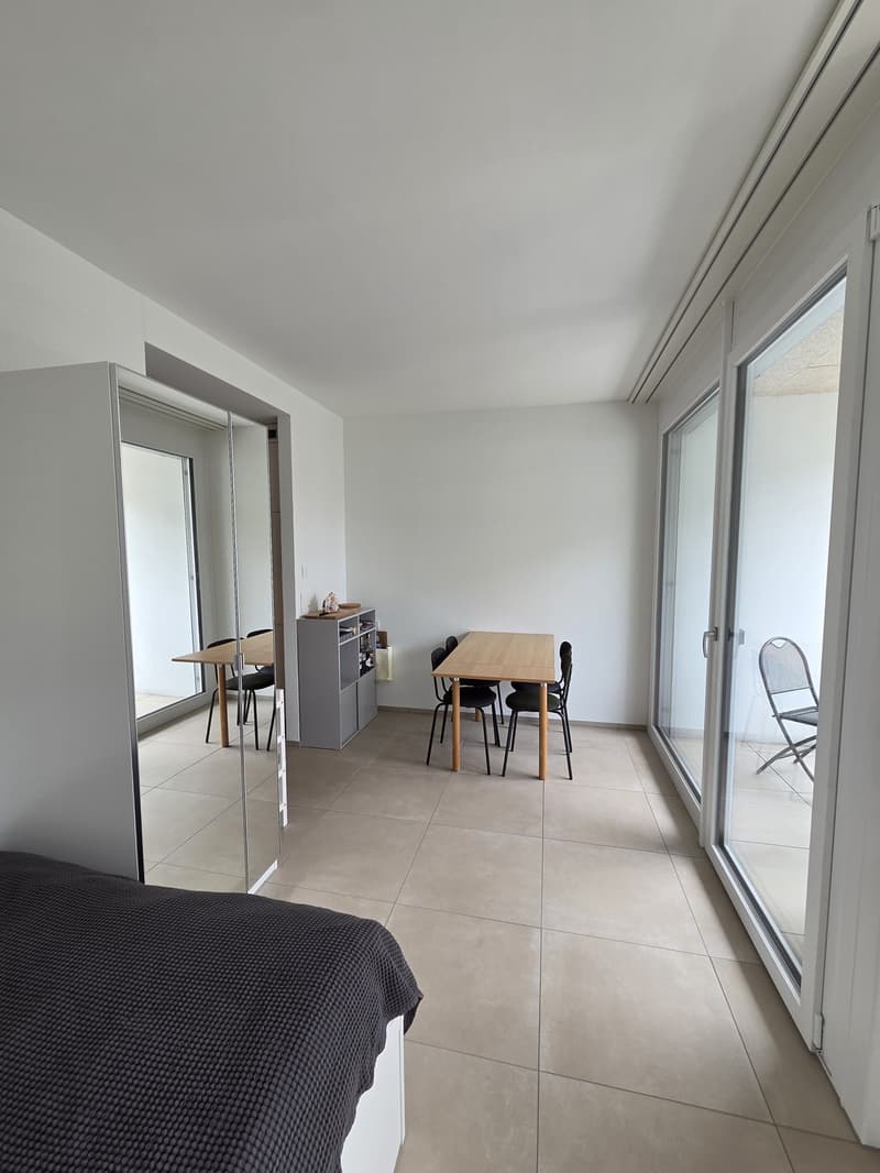 Studio in Zürich Wipkingen (10)