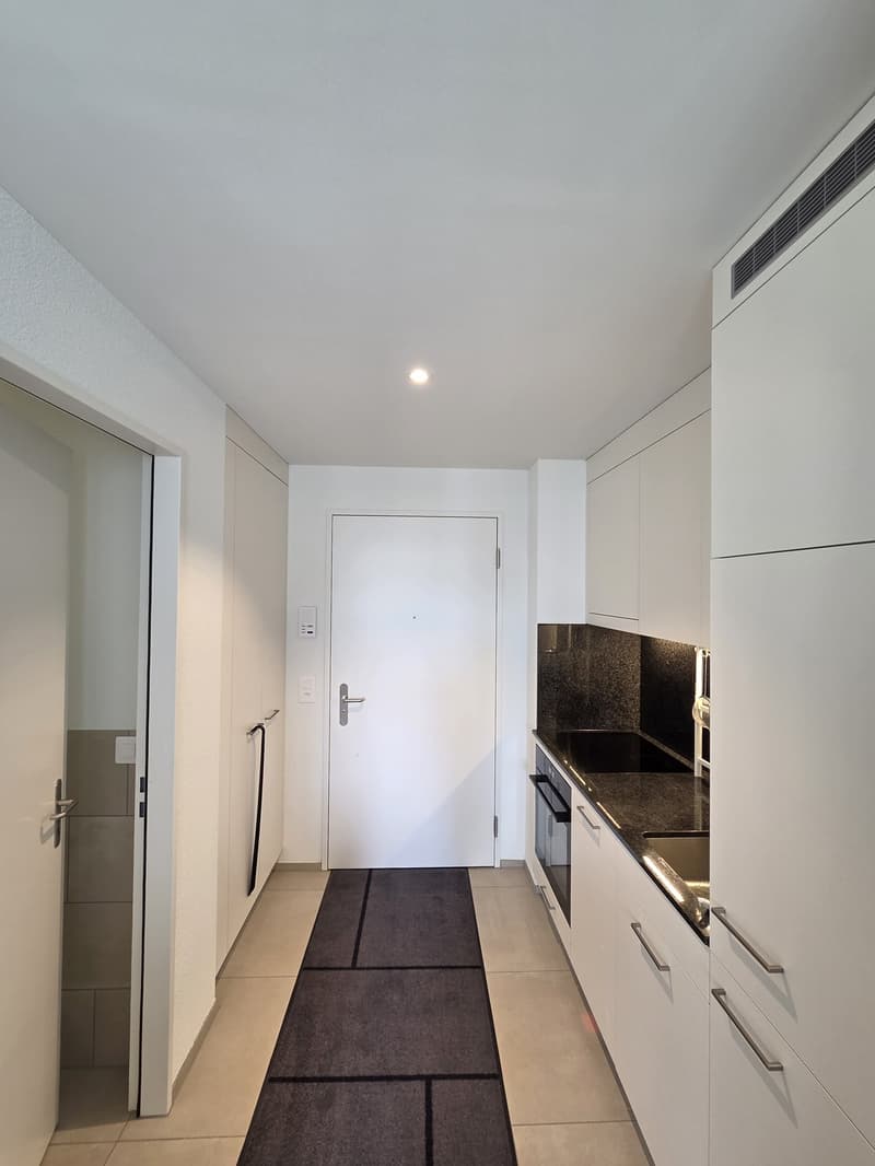 Studio in Zürich Wipkingen (3)
