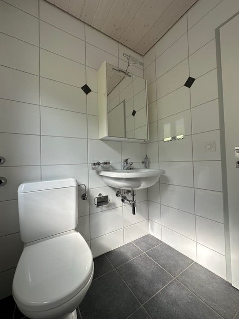 Bright, spacious 4.5-room apartment in prime location (8)