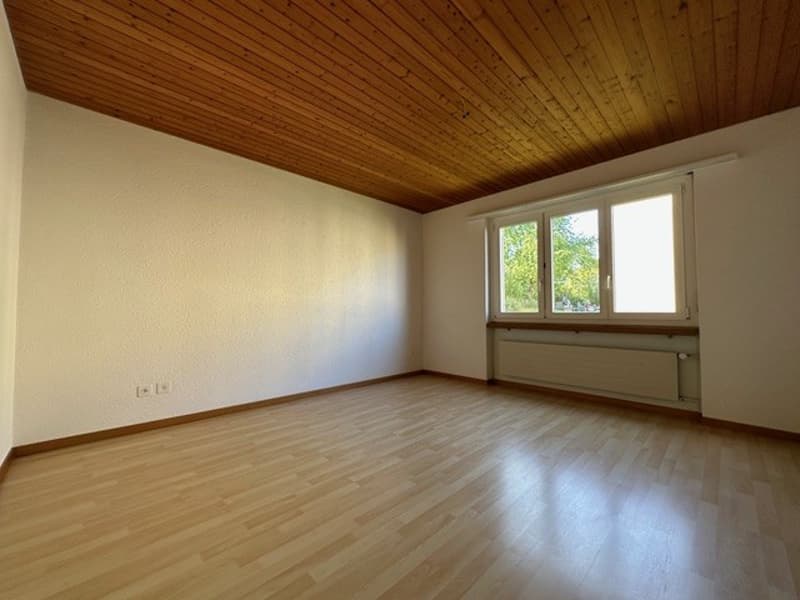 Bright, spacious 4.5-room apartment in prime location (12)