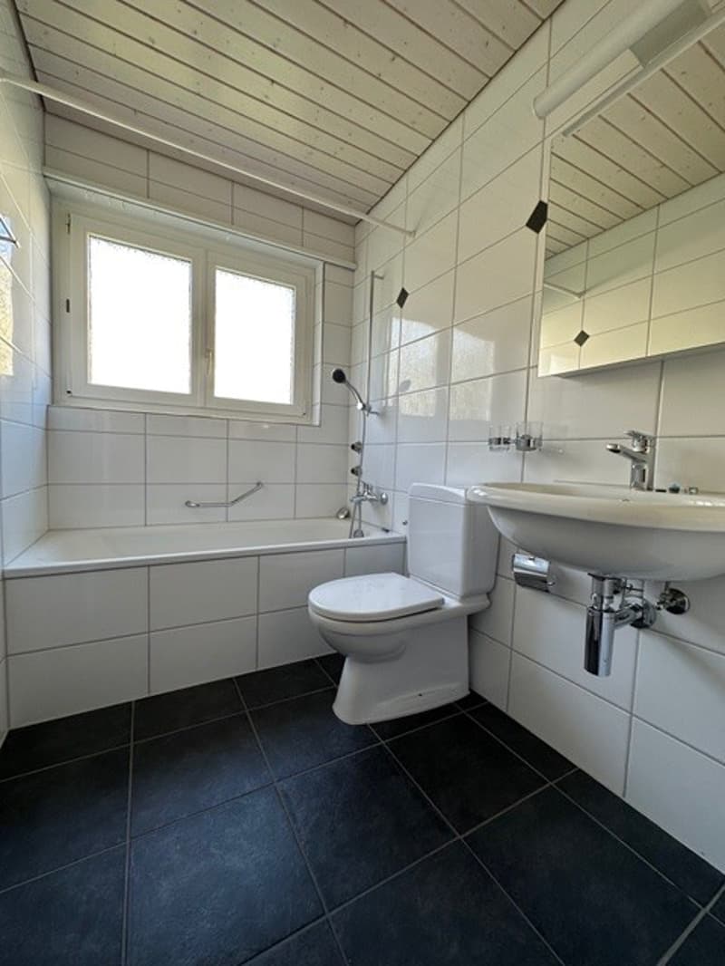 Bright, spacious 4.5-room apartment in prime location (6)