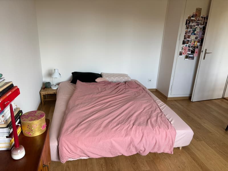 Appartamento vicino alla Limmat (4)
