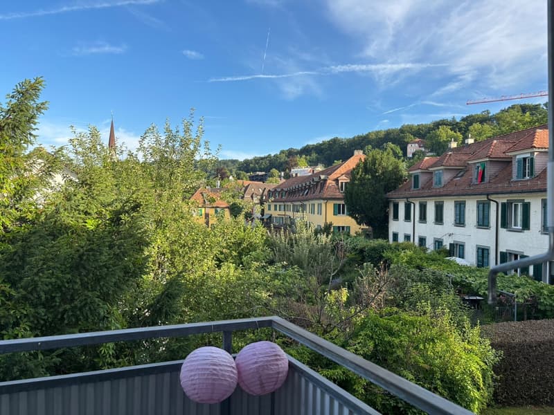 Appartamento vicino alla Limmat (7)