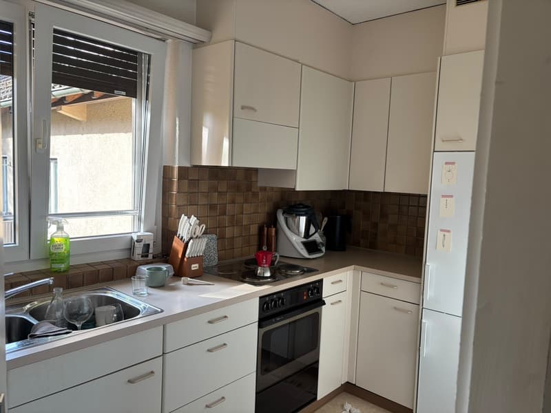 Appartamento vicino alla Limmat (5)