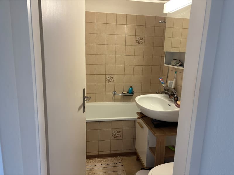 Appartamento vicino alla Limmat (6)