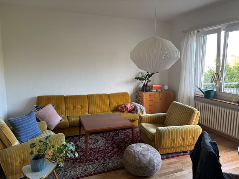 Appartamento vicino alla Limmat (1)