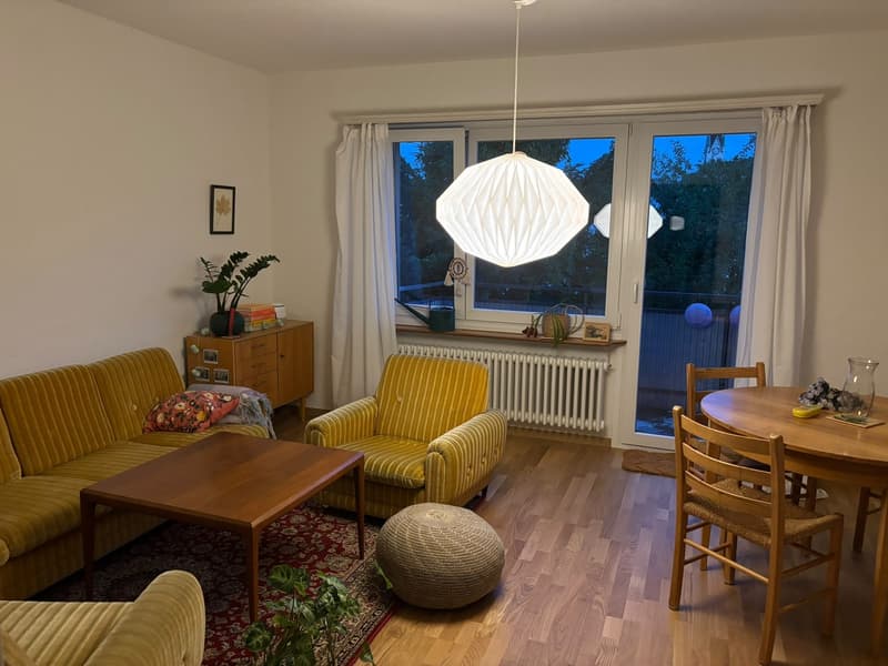 Appartamento vicino alla Limmat (2)