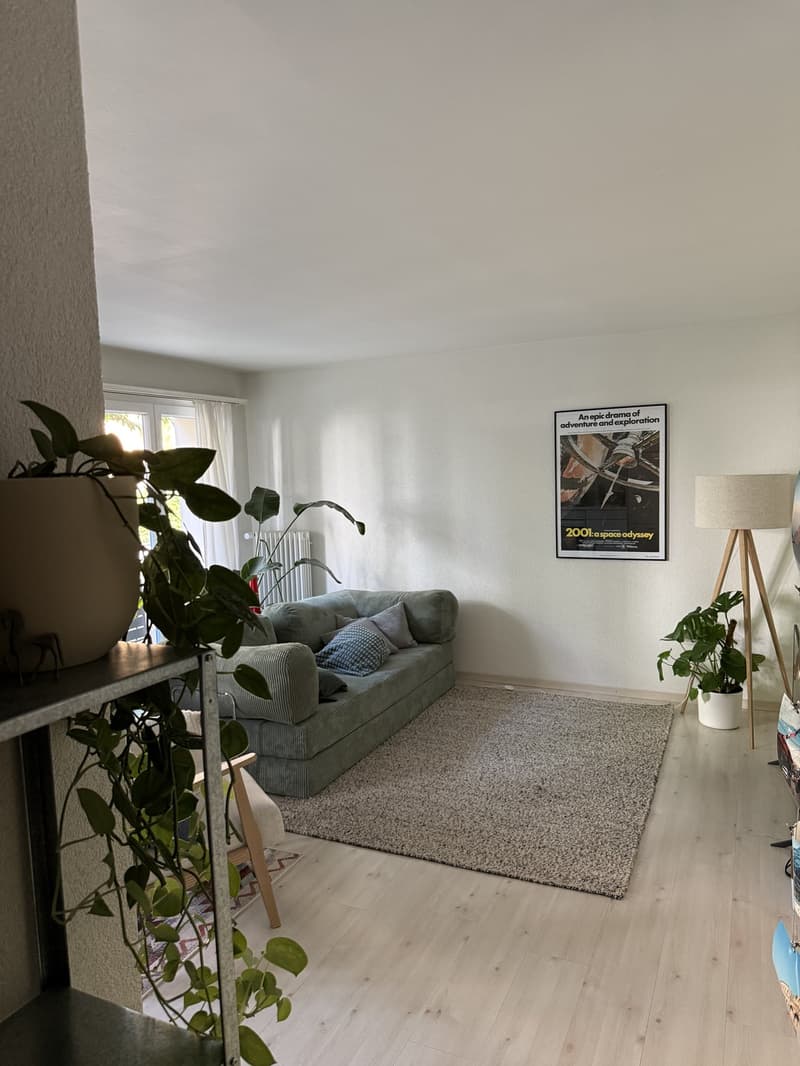 2 Zimmer Wohnung, Kreis 7 (befristet für Juli) (1)
