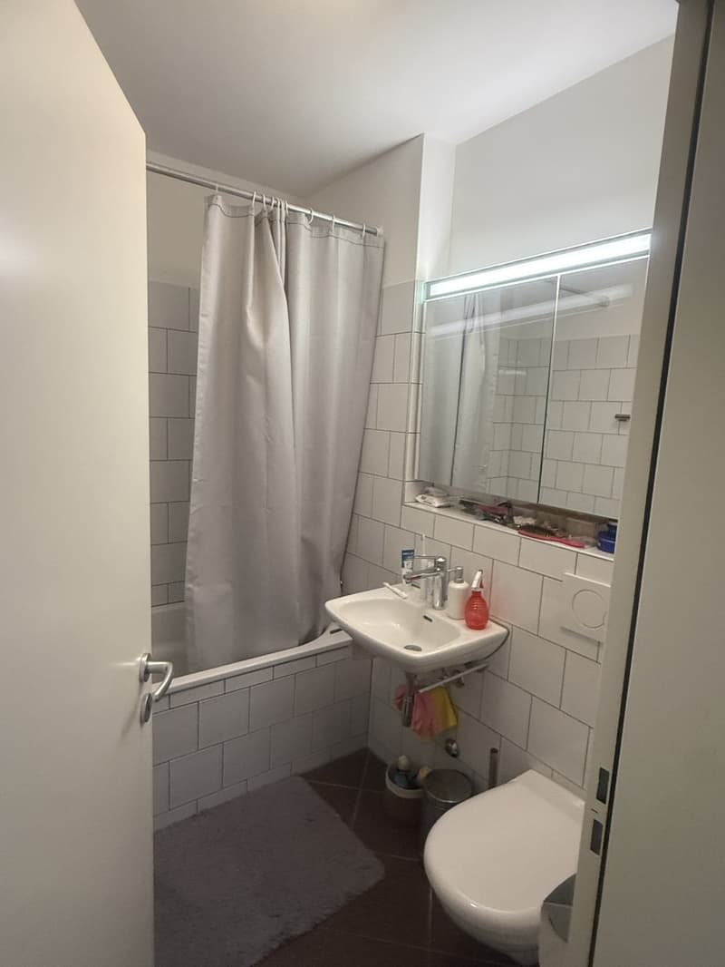 2 ½ Zimmer-Wohnung, 8406 Winterthur (3)
