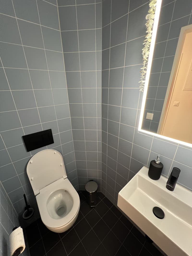 Quiet ground floor apartment, furnished and temporary (3)
