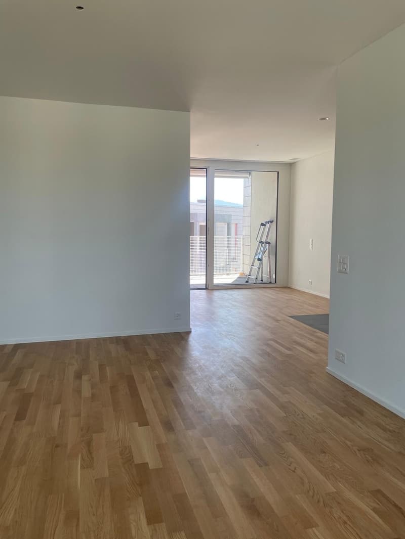 Cercasi subentrante per appartamento 2.5 locali moderno nuovo a Kriens dal 01.06.2026 (5)