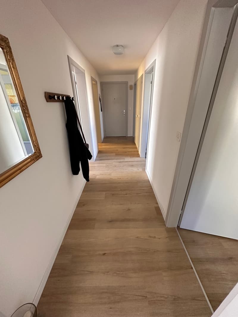 Appartement de 4,5 pièces rénové, situation calme (1)