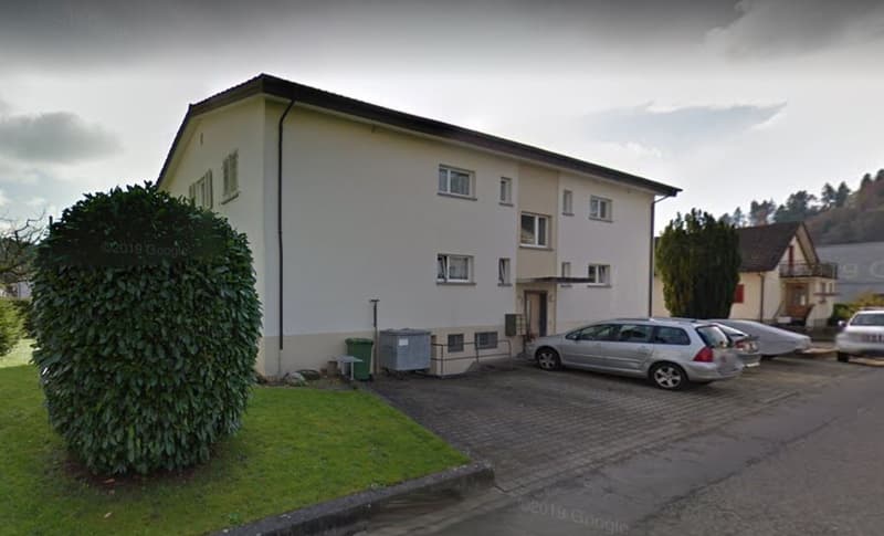 Appartement de 4,5 pièces rénové, situation calme (2)