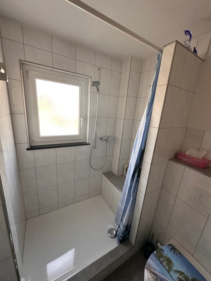 Appartement de 4,5 pièces rénové, situation calme (3)