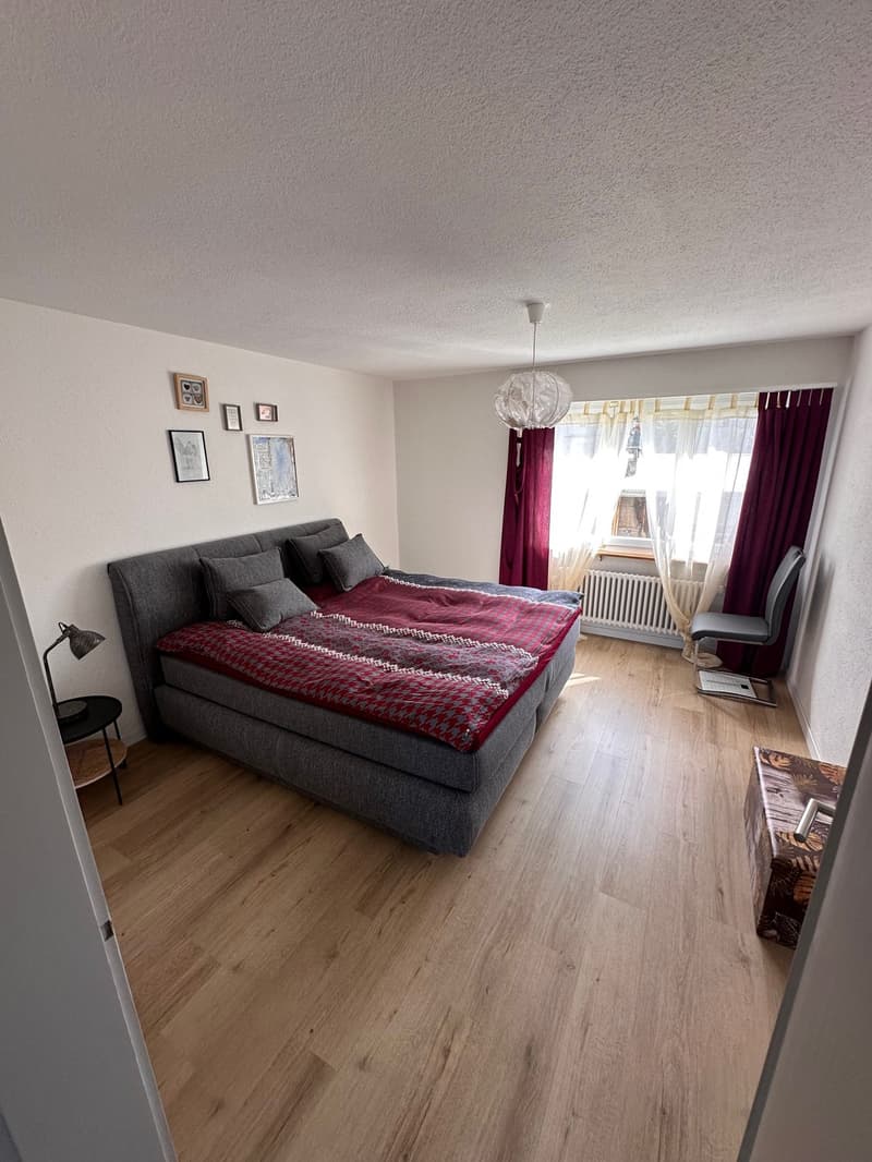 Appartement de 4,5 pièces rénové, situation calme (6)