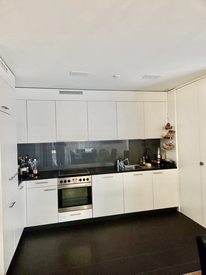 Appartement 2.5 pièces moderne à louer (4)