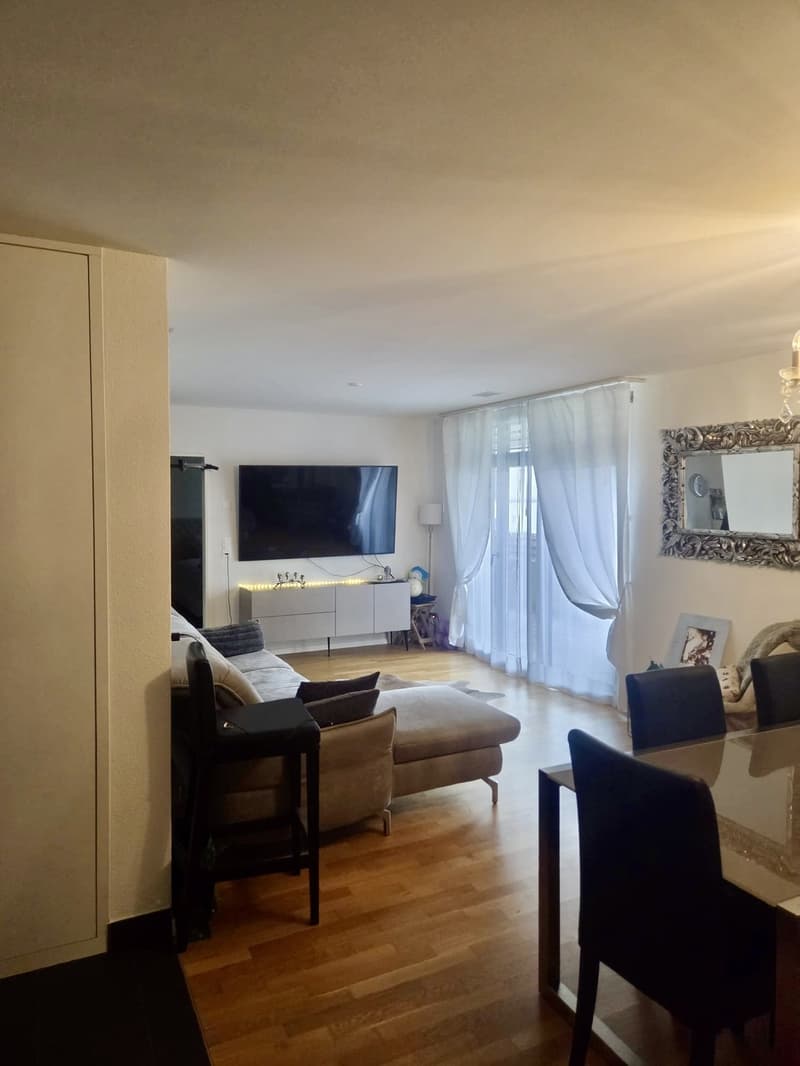 Appartement 2.5 pièces moderne à louer (2)