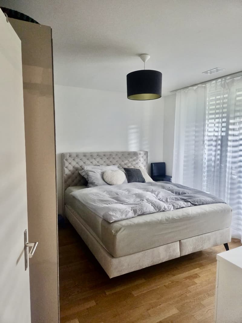 Appartement 2.5 pièces moderne à louer (6)