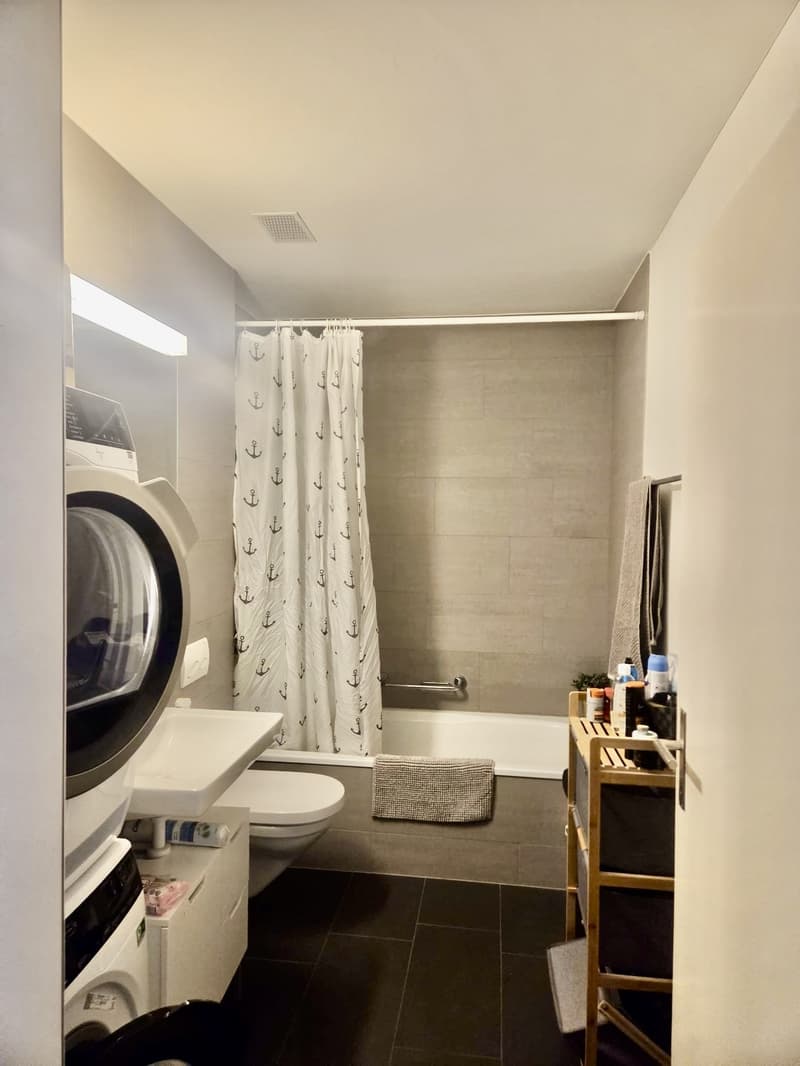 Appartement 2.5 pièces moderne à louer (7)