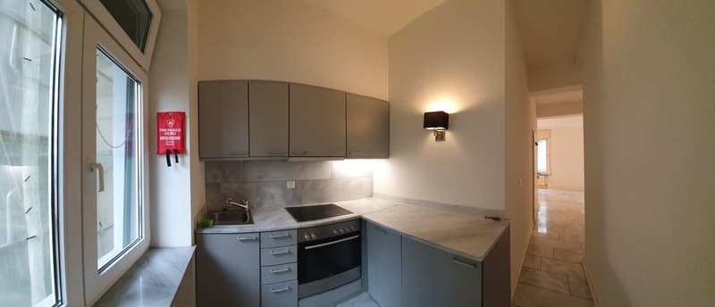 Appartamento luminoso a Wiedikon (4)